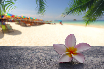 Plumeria flowers are laid on cement floors with a coconut leaf background and blurred beach, tropical flowers on the beach.