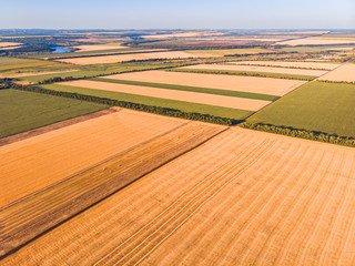 Aerial landscape of summer farm wheat field