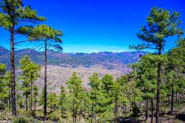 Obraz premium Hiking in Mountain Scenery of Gran Canaria Island - beautiful landscape scenery at mountain village Soria - travel destination, Spain