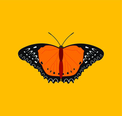 butterfly cethosia biblis. illustration for web and mobile design.