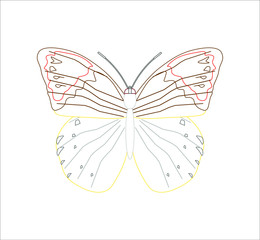 hebomoia butterfly. illustration for web and mobile design.