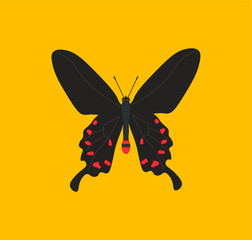 pachliopta kotzebuea butterfly. illustration for web and mobile design.