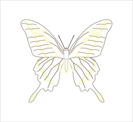 Papilio thoas butterfly. illustration for web and mobile design.