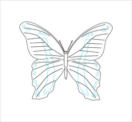 Papilio nireus butterfly. illustration for web and mobile design.