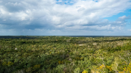 Big tropical forest with clouds and a peaceful vibe from the top of a pyramid in Coba, Quintana Roo, Mexico.