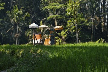 Hindu altar on the rice fields of Tegalalang Rice Terrace in Bali.