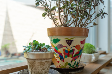 Flower pots at home in front of garden
