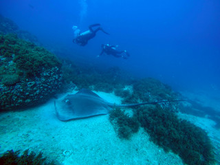 DCIM\100GOPRO\G0107547.