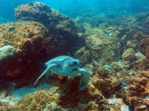 DCIM\100GOPRO\G0146494.