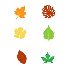 Tropical Leaf Icons illustration in set
 