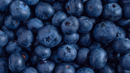 Fresh blueberry food background