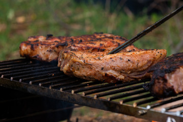 Portable wood-fried grill with grilling meat. Camping grill, smoke, bonfire, picnic