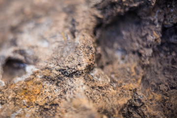 The texture of the stone in the water. Background image. Abstraction.