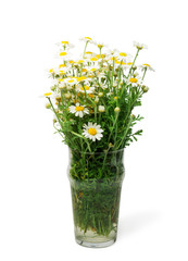 Fototapeta premium Bouquet of white daisy flowers in vase