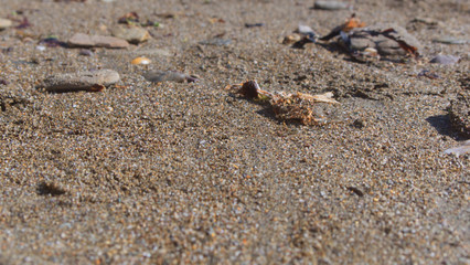 Close up view of a sand and pebbled beach, on a bright sunny day