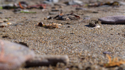Close up view of a sand and pebbled beach, on a bright sunny day