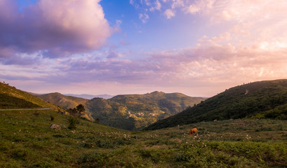 Linda paisagem com montanhas e animal a pastar no campo ao pôr do sol