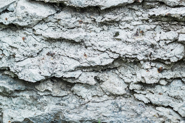 stone background, gray background, stone texture