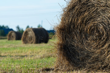 a stack of hay in the field