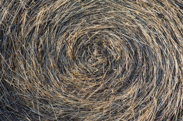 a stack of hay 