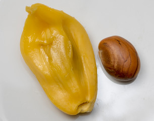 Jackfruit © M M Stock Photo