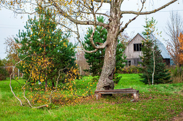 old wooden house