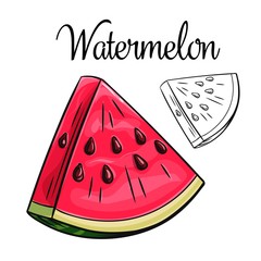 Watermelon, vector drawing icon