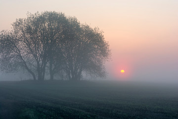 Fototapeta na wymiar misty morning sunrise
