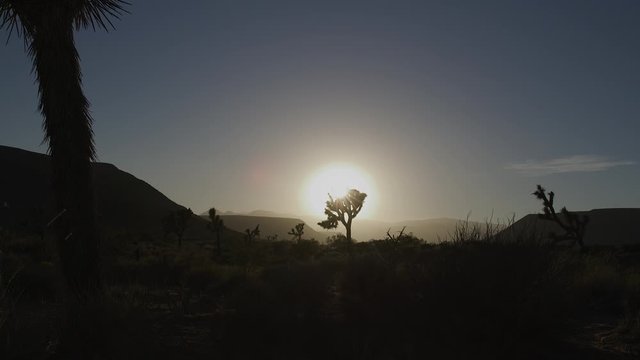 Desert downward panning shot on RED Helium 8K 60fps with a 18mm lens in RED Gamma 2.2