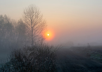 sunrise in the fog