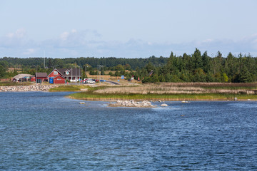 Coastline of Vormsi island