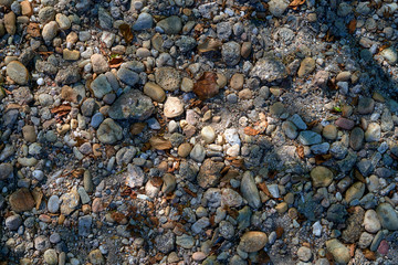 stones texture with sand and dry leaves