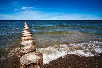 Fototapeta na wymiar wooden piles overgrown with seaweed in the sea