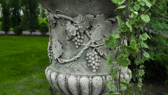 White vintage vase with grape pattern and vine branches, loppy from it. Park. Background. Macro shooting, closeup