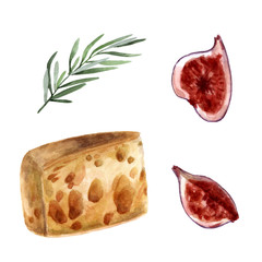 Cheese and figs in watercolor