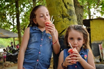 HERMANAS COMIENDO HELADO EN EL CAMPO PALMERA NIÑAS JÓVENES CON CABELLO RUBIO