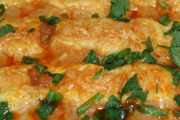 Cannelloni and sauce with chicken