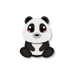 Isolated cute baby panda bear