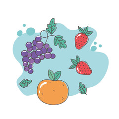 healthy food nutrition diet organic orange grapes and strawberry fruits