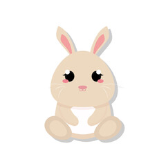Isolated cute bunny