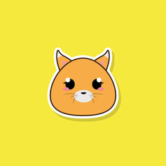 Isolated cute kitten