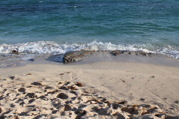 By the sea