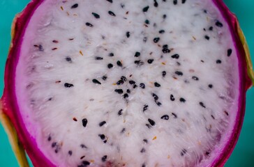 Dragon Fruit- Pitaia