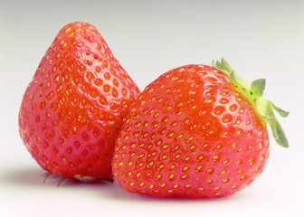 Berries frutillas murtillas grosellas  antioxidantes frutas para hacer postres helados reposteria aromatizantes 