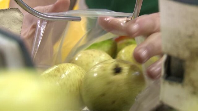 pears packaging production line manufacture