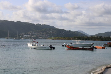 Obraz premium Voyage martinique