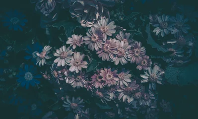Hintergrund der Blumenwiese. Vintage-Stil © joeycheung