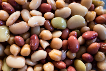 plant-based food, close-up of mixed beans just rinsed in sieve