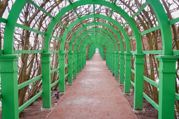 green metal tunnel in garden, metal green frame