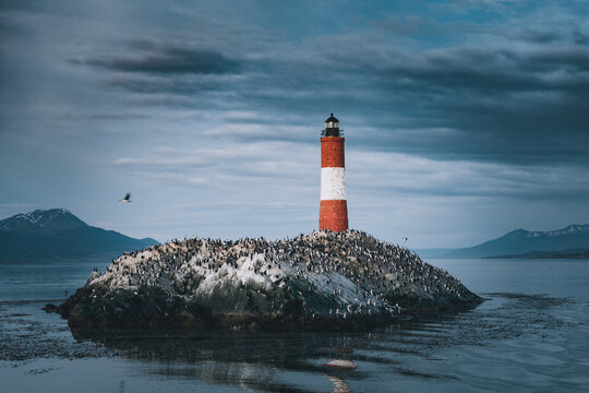 Faro Les &eacute;claireurs, canal de beage, fin del mundo